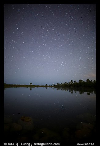 Starry night, Pines Glades Lake. Everglades National Park, Florida, USA.