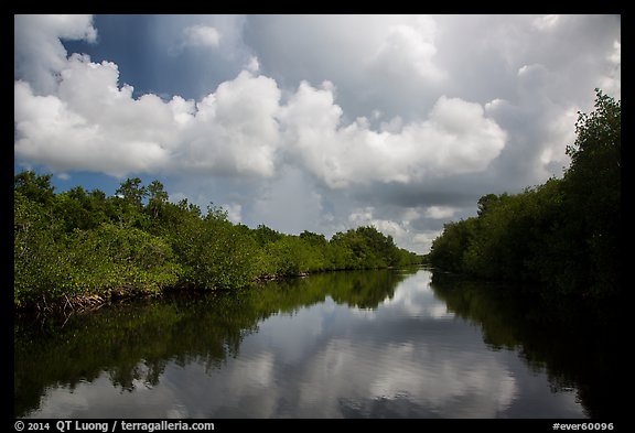 Buttonwood Canal and rain clouds. Everglades National Park (color)
