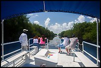 Canal seen from deck of tour boat. Everglades National Park ( color)