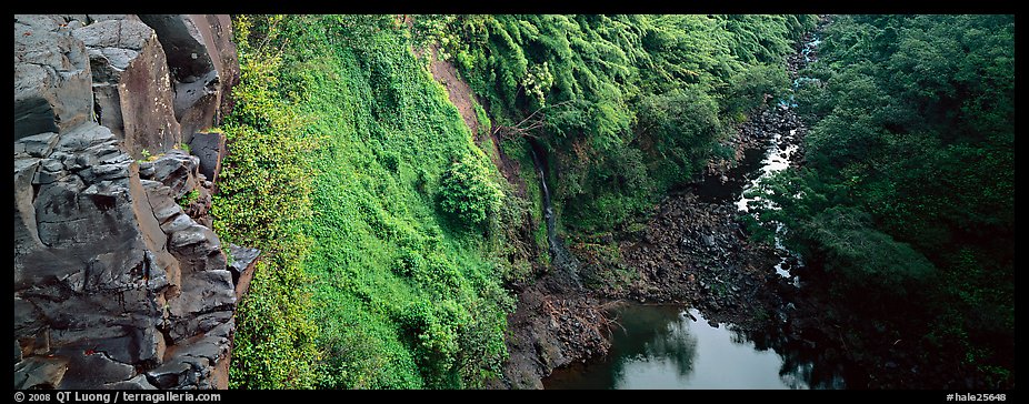 Cliffs with tropical vegetation. Haleakala National Park (color)