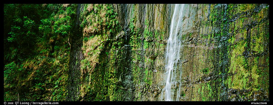 Verdant cliff with tropical waterfall. Haleakala National Park, Hawaii, USA.