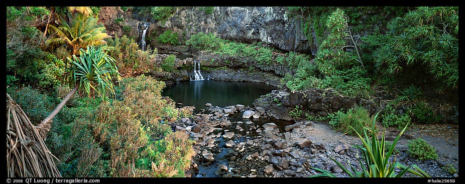 Tropical pools, waterfalls, and vegetation. Haleakala National Park, Hawaii, USA.