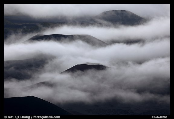 Cinder cones emerging from clouds. Haleakala National Park, Hawaii, USA.