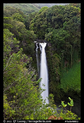 Makahiku Falls. Haleakala National Park, Hawaii, USA.