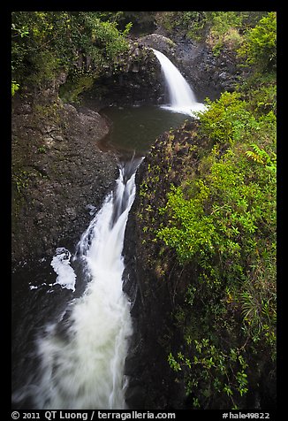 Oheo stream double falls. Haleakala National Park, Hawaii, USA.