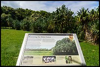 Restoring the Hala Forest interpretive sign. Haleakala National Park ( color)