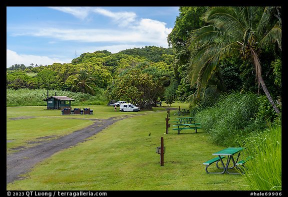 Kipahulu Campground. Haleakala National Park (color)