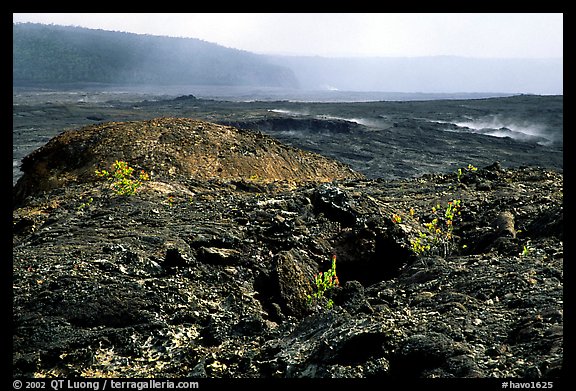 Volcanic landscape of lava field near Mauna Ulu crater. Hawaii Volcanoes National Park, Hawaii, USA.