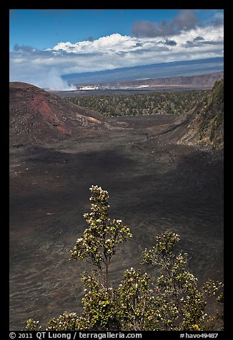 Kilauea Iki Crater, Halemaumau plume, and Mauma Loa. Hawaii Volcanoes National Park, Hawaii, USA.