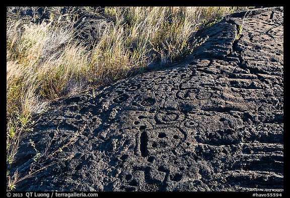 Lava slab covered with petroglyphs. Hawaii Volcanoes National Park, Hawaii, USA.