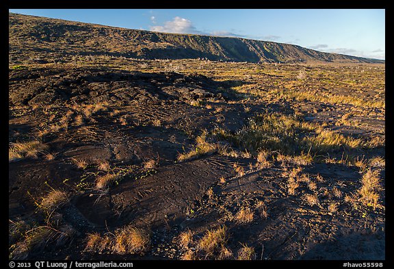 Puu Loa petroglyph field and pali. Hawaii Volcanoes National Park, Hawaii, USA.