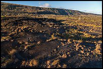 Puu Loa petroglyph field and pali. Hawaii Volcanoes National Park, Hawaii, USA. (color)