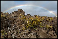 Rainbow over Kau desert. Hawaii Volcanoes National Park, Hawaii, USA. (color)
