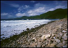 Beached coral heads and Vatia Bay, mid-day, Tutuila Island. National Park of American Samoa ( color)