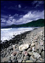 Coral heads on beach and dark hills, Tutuila Island. National Park of American Samoa