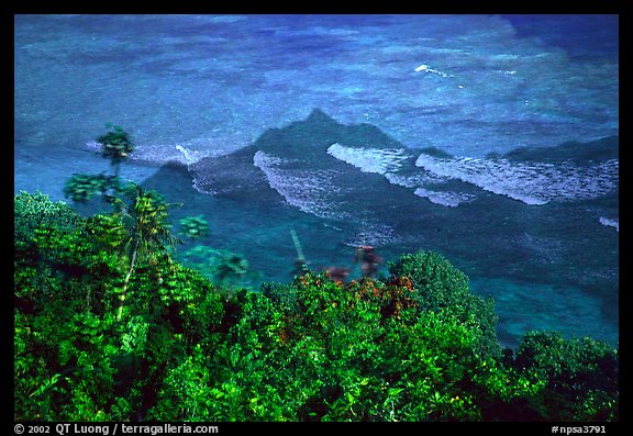 Tropical vegetation and turquoise waters in Vatia Bay, Tutuila Island. National Park of American Samoa