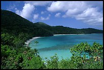 Hawksnest Bay. Virgin Islands National Park, US Virgin Islands.