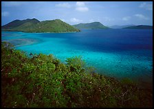 Tropical island environment with turquoise waters. Virgin Islands National Park, US Virgin Islands.