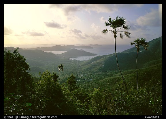 Coral Harbor seen from Centerline Road, morning. Virgin Islands National Park (color)