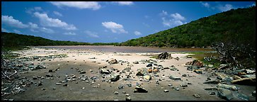 Pond with quicksand. Virgin Islands National Park (Panoramic color)