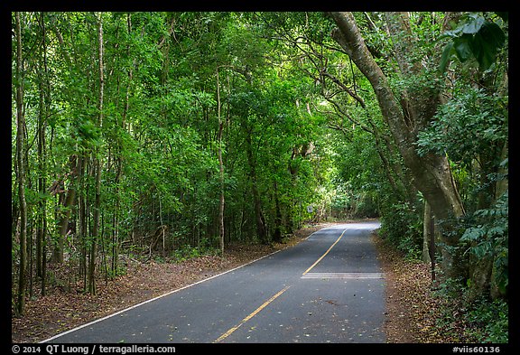 North Shore road. Virgin Islands National Park, US Virgin Islands.