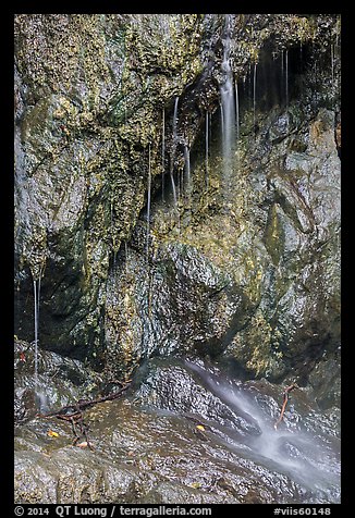 Ephemeral waterfall, Reef Bay. Virgin Islands National Park, US Virgin Islands.