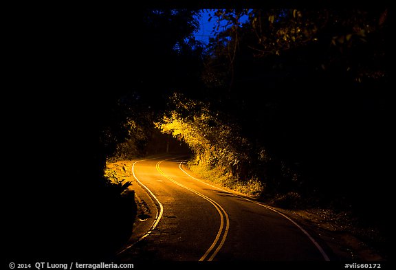 Centerline road at night. Virgin Islands National Park, US Virgin Islands.