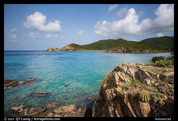 Turk cap cactus and blue waters, Little Lameshur Bay. Virgin Islands National Park (color)