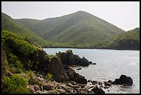 Jagged shoreline and green hills, Great Lameshur Bay. Virgin Islands National Park ( color)