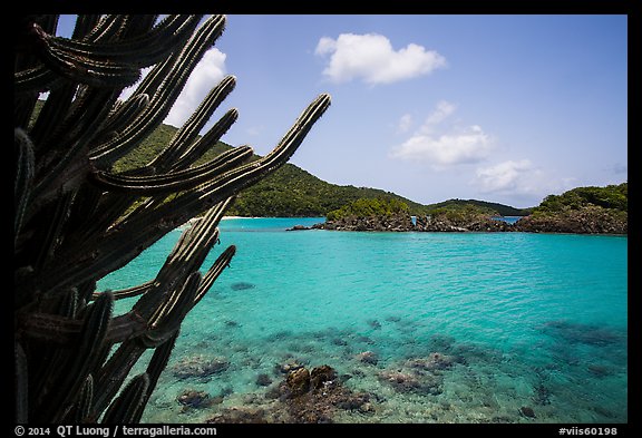 Cactus and Trunk Cay, Trunk Bay. Virgin Islands National Park (color)