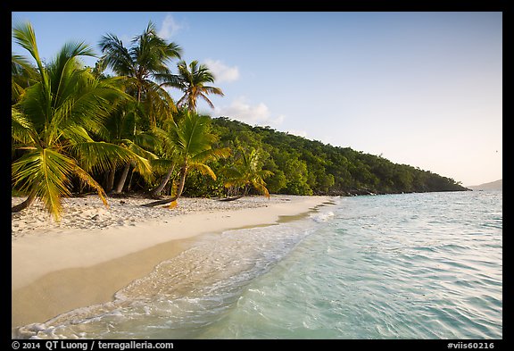Clear waters and palm trees in the evening, Salomon Beach. Virgin Islands National Park (color)