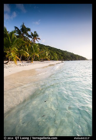 Tropical beach in the evening, Salomon Bay. Virgin Islands National Park (color)