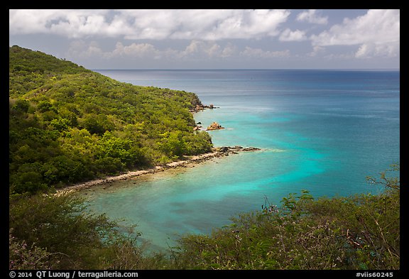 Forested slopes and reef, Hassel Island. Virgin Islands National Park (color)