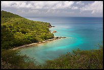 Forested slopes and reef, Hassel Island. Virgin Islands National Park ( color)