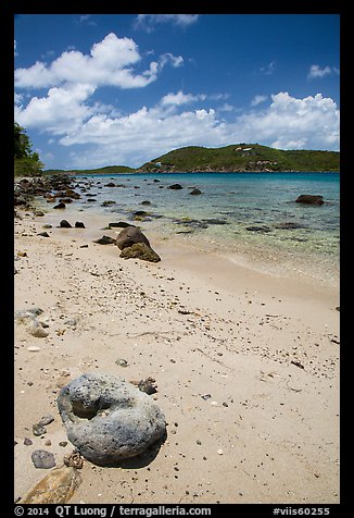 Coral rock and beach, Hassel Island. Virgin Islands National Park (color)