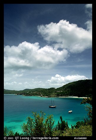 Yachts anchored in Hurricane Hole Bay. Virgin Islands National Park, US Virgin Islands.