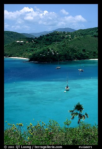 Tropical anchorage, Francis Bay. Virgin Islands National Park, US Virgin Islands.