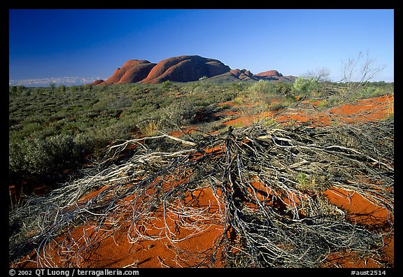 Olgas, late afternoon. Olgas, Uluru-Kata Tjuta National Park, Northern Territories, Australia (color)