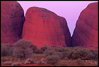 Olgas, dusk. Olgas, Uluru-Kata Tjuta National Park, Northern Territories, Australia ( color)