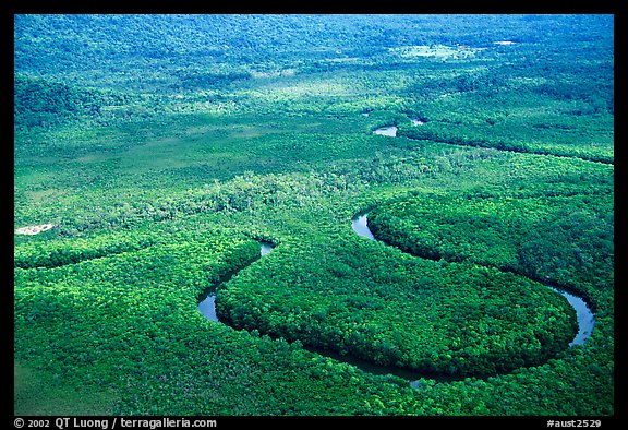 Aerial meandering river in rainforest near Cape Tribulation. Queensland, Australia