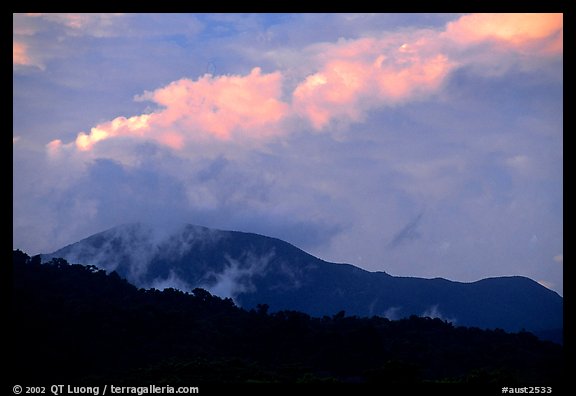 Mountains covered with rain forest near Cape Tribulation. Queensland, Australia (color)