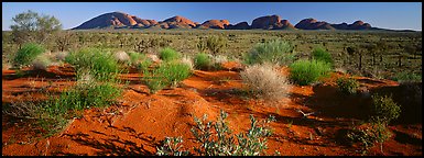 Outback landscape, Olgas. Olgas, Uluru-Kata Tjuta National Park, Northern Territories, Australia