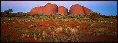 Olgas rocks at twilight. Olgas, Uluru-Kata Tjuta National Park, Northern Territories, Australia (Panoramic color)
