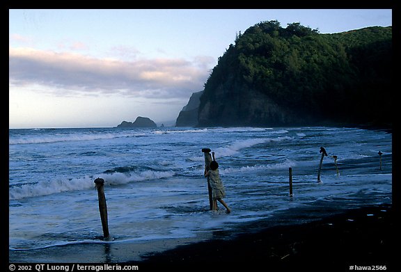Hawaiian woman piling a stone on a stick as a gesture of reverence, Polulu Beach. Big Island, Hawaii, USA (color)