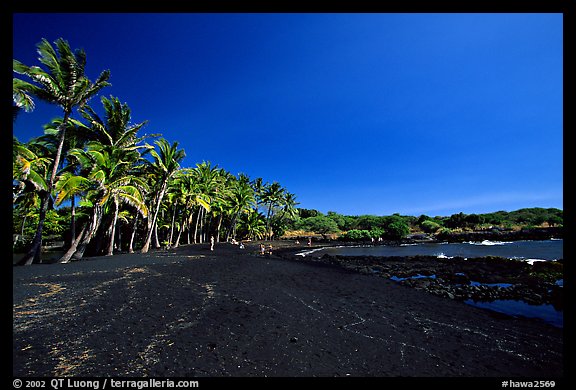 Black sand beach at Punaluu. Big Island, Hawaii, USA (color)