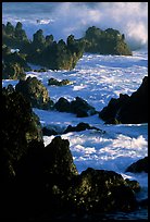 Sharp volcanic Rocks and surf, Keanae Peninsula. Maui, Hawaii, USA (color)