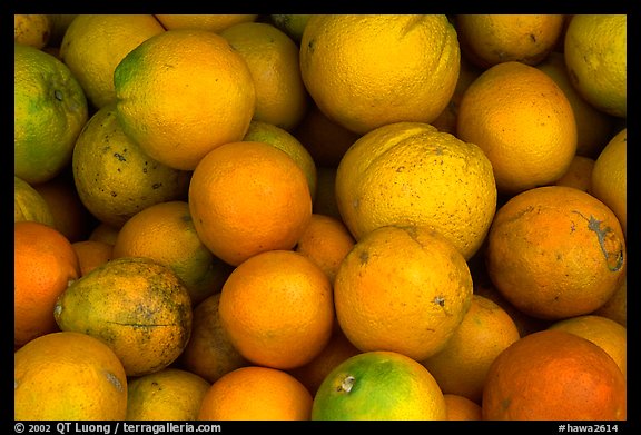 Oranges. Maui, Hawaii, USA