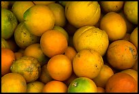 Oranges. Maui, Hawaii, USA (color)