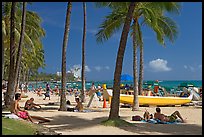 Beach scene with palm trees. Waikiki, Honolulu, Oahu island, Hawaii, USA ( color)