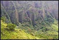 Flutted mountains near Pali highway,. Oahu island, Hawaii, USA ( color)